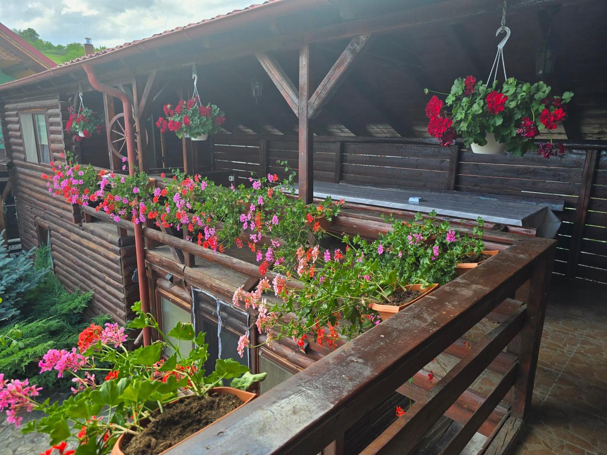 Villa Casa Baciu Turda Exterior foto